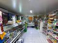 Магазины и бутики · 60 м² за 39 млн ₸ в Талдыкоргане — фото 19