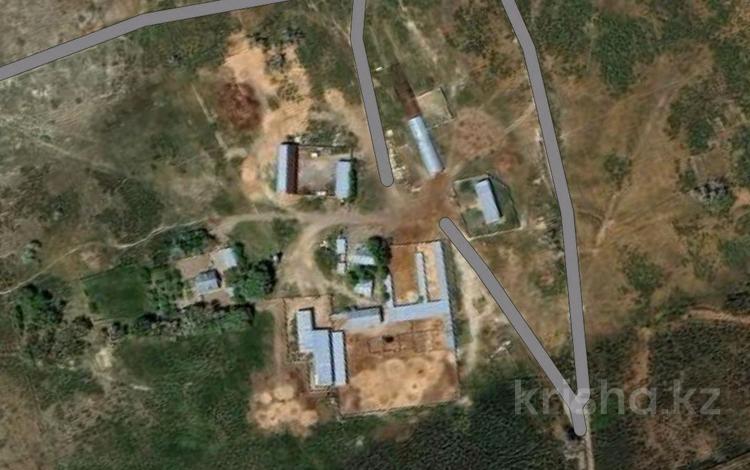Сельское хозяйство · 1900 м² за 215 млн ₸ в Куше — фото 46