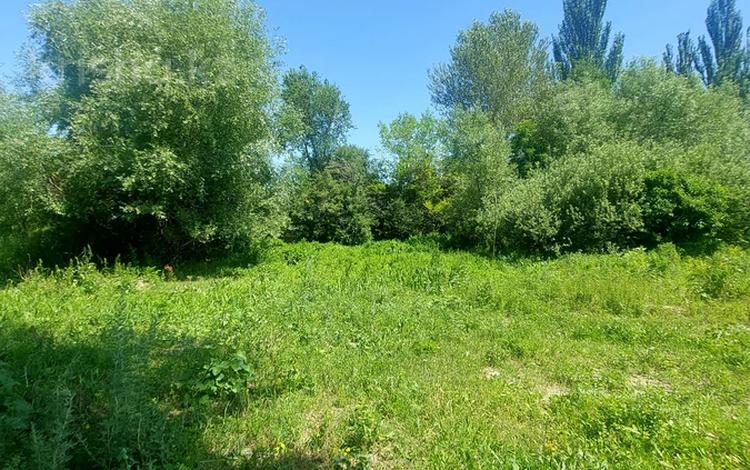 Жер телімі · 25 сотық, Кулманбет 135, бағасы: ~ 12 млн ₸ в Турген — фото 12