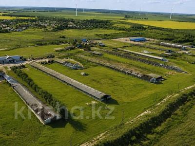 Готовый бизнес СХ КХ · 450 м², бағасы: 350 млн ₸ в Молоконавке