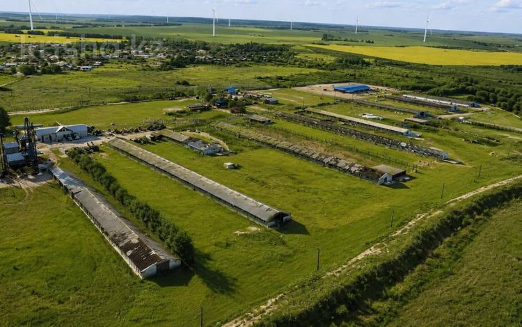 Готовый бизнес СХ КХ · 450 м², бағасы: 350 млн ₸ в Молоконавке — фото 3