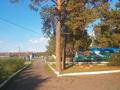 Участок · 30 соток, Жайлау 9 за 100 млн ₸ в Сарыбулак — фото 5