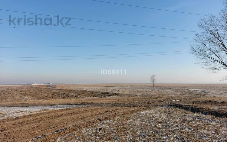 Участок 3 га, Междуреченск за 12 млн 〒 — фото 28