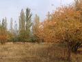 Отдельный дом · 5 комнат · 100 м² · 25 сот., Мерген ата 4 за 25 млн ₸ в Каскасу — фото 5