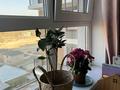 3-комнатная квартира · 110 м² · 9 этаж, мкр Акжайык, Сырым батыра 99/3 за 63 млн ₸ в Шымкенте, Абайский р-н — фото 6