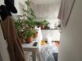 Отдельный дом · 2 комнаты · 70 м², улица Жастар 54 — Рынок Алтын орда за 53 млн ₸ в Иргели