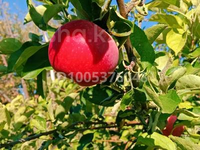 Участок · 8 соток, С /о Тамарикс 123 — Оскен за 5.5 млн 〒 в Уральске