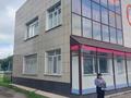 Свободное назначение · 700 м² за 250 млн ₸ в Петропавловске — фото 5