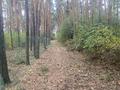 Жеке үй · 2 бөлме · 45 м² · 25 жүзд., Макинск 61 — Село Тастыозек район Макинск, бағасы: 3.7 млн ₸ в Астане — фото 10