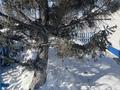 Жеке үй · 3 бөлме · 70 м², Едомского 78 — Возле школы номер 9, бағасы: 18 млн ₸ в Щучинске — фото 26