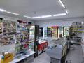 Дүкендер мен бутиктер · 100 м², бағасы: 170 000 ₸ в Таразе, мкр Алатау — фото 8