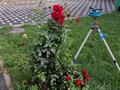Часть дома · 3 комнаты · 111 м² · 111 сот., мкр Рахат, Карменова — Жандосова за 230 000 ₸ в Алматы, Наурызбайский р-н — фото 6