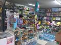 Магазины и бутики • 100 м² за 33 млн 〒 в Алмалыке — фото 2