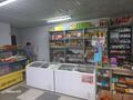 Магазины и бутики • 100 м² за 33 млн 〒 в Алмалыке — фото 26