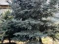 Отдельный дом · 4 комнаты · 110 м² · 5 сот., Сулусай за 45 млн ₸ в  — фото 8