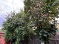 Жеке үй · 3 бөлме · 55.5 м² · 10 жүзд., Зырянова 11, бағасы: 23.5 млн ₸ в Усть-Каменогорске — фото 40