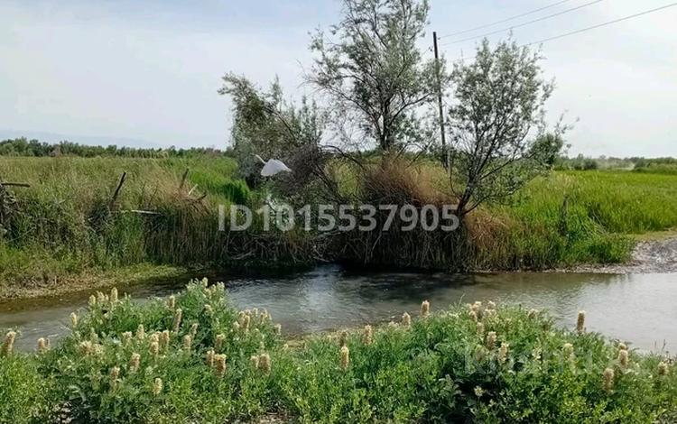 Жер телімі · 18.2 га, Шонжы, бағасы: 2.5 млн ₸ в Чундже — фото 2