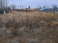 Участок · 19 соток, мкр Байтак, Досмухамбетулы 280 за 13.5 млн ₸ в Атырау, мкр	Байтак — фото 3