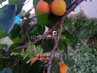 Саяжай · 1 бөлме · 18 м² · 7 жүзд., Көкарна ш/а., Рыбник 177, бағасы: 6.2 млн ₸ в Атырау, мкр Кокарна