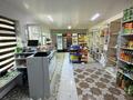 Дүкендер мен бутиктер · 250 м², бағасы: 100 000 ₸ в Шымкенте, Абайский р-н — фото 14