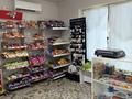 Дүкендер мен бутиктер · 250 м², бағасы: 100 000 ₸ в Шымкенте, Абайский р-н — фото 17