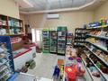 Магазин со всем оборудованием,холодильниками, 42 м² за 10 млн 〒 в Таразе — фото 2