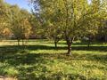 Отдельный дом · 5 комнат · 120 м² · 46 сот., Абенова 3 за 60 млн ₸ в  — фото 3
