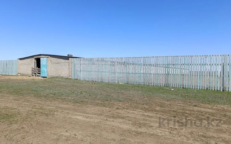 Животноводческая база · 1746.2 м² за 61.1 млн ₸ в Актюбинской обл., Хобда — фото 2