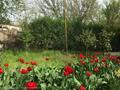 Отдельный дом · 3 комнаты · 100 м² · 4 сот., Улица Рабочий городок, 18а 18 — Химфарм завод, Областной детский реабилитационный центр, баня Химфарм с Легким Паром за 20 млн ₸ в Шымкенте, Аль-Фарабийский р-н — фото 2