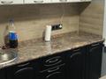 Свободное назначение, общепит · 55 м² за 350 000 ₸ в Караганде, Казыбек би р-н — фото 10