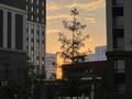 2-комнатная квартира · 48 м² · 8/12 этаж, ул. Чингиза Айтматова 77/1 за 30.5 млн ₸ в Астане, Есильский р-н — фото 28