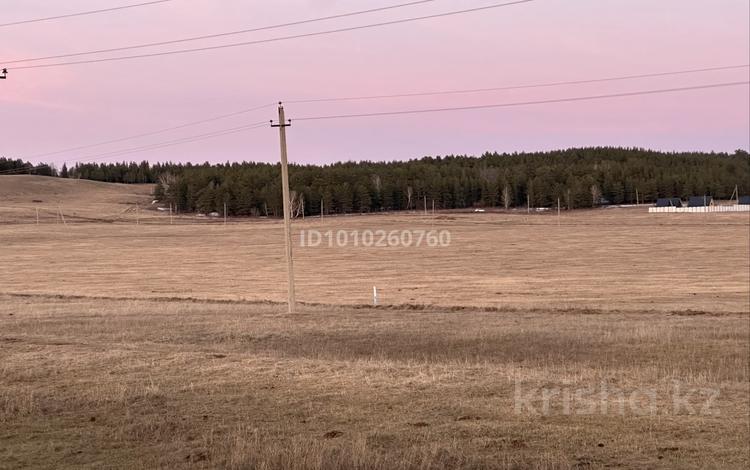 Жер телімі · 10 сотық, Зеленый бор, бағасы: 2 млн ₸ — фото 2