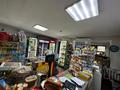 Магазины и бутики • 74.4 м² за 39 млн 〒 в Павлодаре — фото 22
