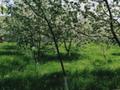 Отдельный дом · 4 комнаты · 120 м² · 20 сот., Күмістобе 19 за 12.5 млн ₸ в Ленгере — фото 14