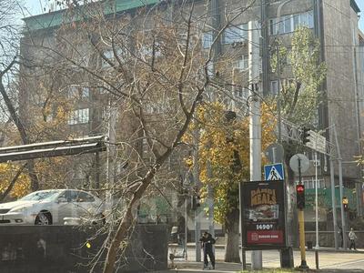 Свободное назначение, офисы, магазины и бутики, склады, общепит, салоны красоты, бани, гостиницы и зоны отдыха, фитнес и спорт, медцентры и аптеки, образование, развлечения, конференц-залы, кабинеты и рабочие места, студии · 5150 м² за ~ 43.8 млн 〒 в Алматы, Алмалинский р-н