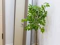 2-бөлмелі пәтер · 45 м² · 14/19 қабат, Сейфуллина 574/1 к3, бағасы: 31 000 ₸ в Алматы, Бостандыкский р-н — фото 40