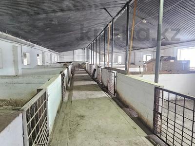 Общепит, сельское хозяйство, бани, гостиницы и зоны отдыха · 929.7 м² за 33 млн ₸ в Атырау