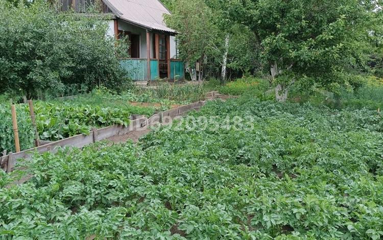 Дача • 2 комнаты • 24 м² • 11 сот., мкр Михайловка — Цоф Сабурхан за 1.8 млн 〒 в Караганде, Казыбек би р-н — фото 2