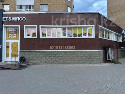 Действующий мясной магазин · 295 м², бағасы: 125 млн ₸ в Астане, Алматы р-н