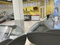 Действующий мясной магазин · 295 м², бағасы: 125 млн ₸ в Астане, Алматы р-н — фото 4