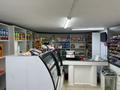 Магазины и бутики · 55 м² за 3.5 млн 〒 в Алматы, Турксибский р-н — фото 4
