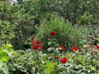 Дача · 1 комната · 25 м² · 6 сот., Сункар 42 — Возле магазина Татьяна за 8 млн 〒 в Актау