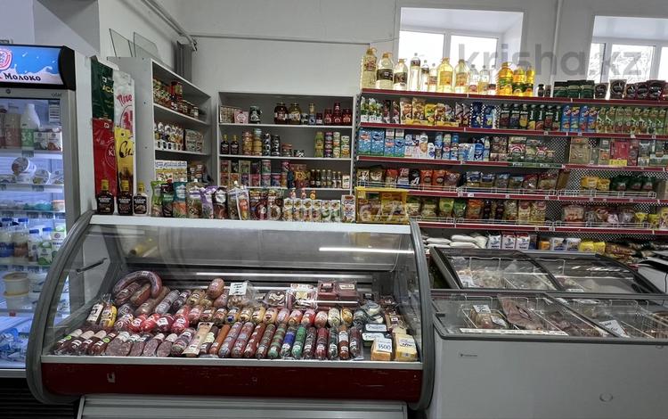 Действующий продуктовый отдел Назарбаева 8 · 30 м² за 3.8 млн ₸ в Усть-Каменогорске — фото 2