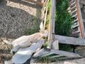 Отдельный дом · 3 комнаты · 72.6 м² · 10 сот., Жумабай Даулетова 13А 12/8 — Еркинкала 2 за 25 млн ₸ в Атырау — фото 6