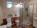Отдельный дом · 5 комнат · 141.5 м² · 14.28 сот., Райымбека — Центральная за 60 млн ₸ в Алмалыке — фото 67