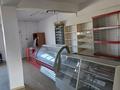 Еркін · 300 м², бағасы: 500 000 ₸ в Талдыкоргане — фото 2