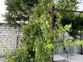 Жеке үй · 4 бөлме · 167.3 м² · 15 жүзд., 22-квартал 110, бағасы: 22 млн ₸ в  — фото 16