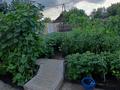 Отдельный дом · 4 комнаты · 93.2 м² · 4.5 сот., Якутская 132 — Суворова за 29 млн ₸ в Павлодаре — фото 11