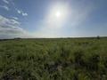 Жер телімі · 150 сотық, Монке би, бағасы: 375 млн ₸ в Алматы, Алатауский р-н — фото 3