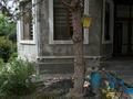Отдельный дом · 5 комнат · 230 м² · 10 сот., мкр Акбулак, Байтерекова 18 за 250 млн ₸ в Алматы, Алатауский р-н — фото 39